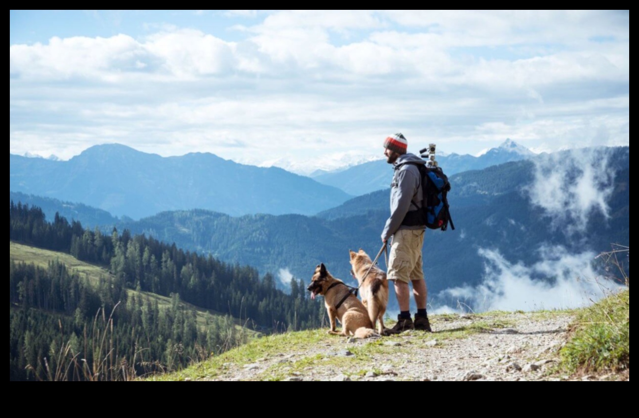 Hiking with Hounds: Outdoor Adventures for Active Dog Owners