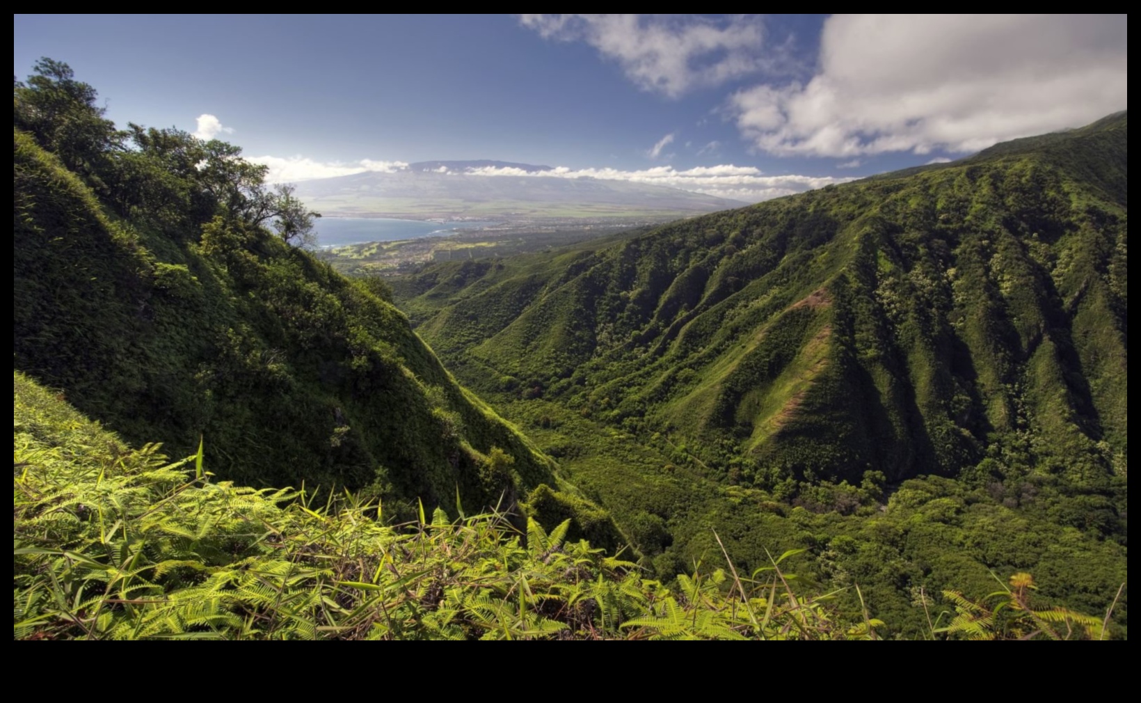 Hillside Hikes: Outdoor Exercises for Cardio and Scenic Views