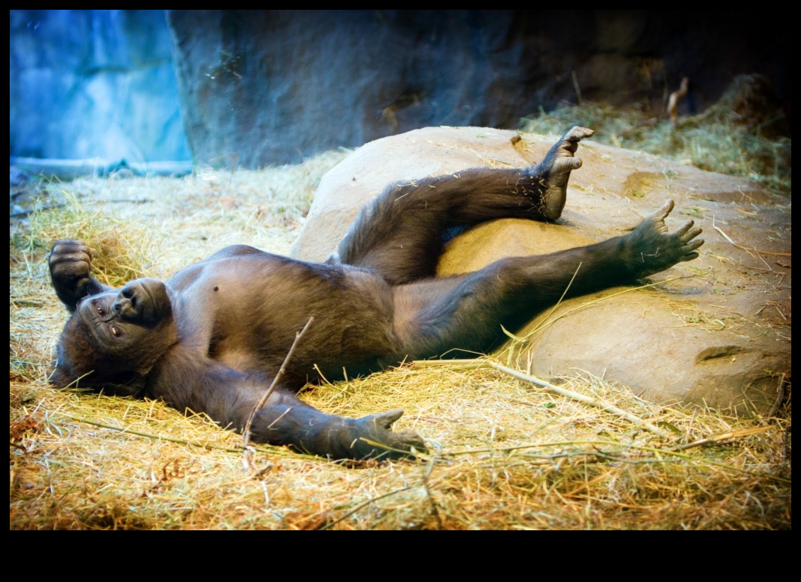 Sleep and Recover: Understanding the Importance of Rest in Fitness