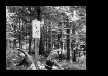 Hit the Trails for a Woodland Workout 7 Outdoor Exercises in Peaceful Forests 1