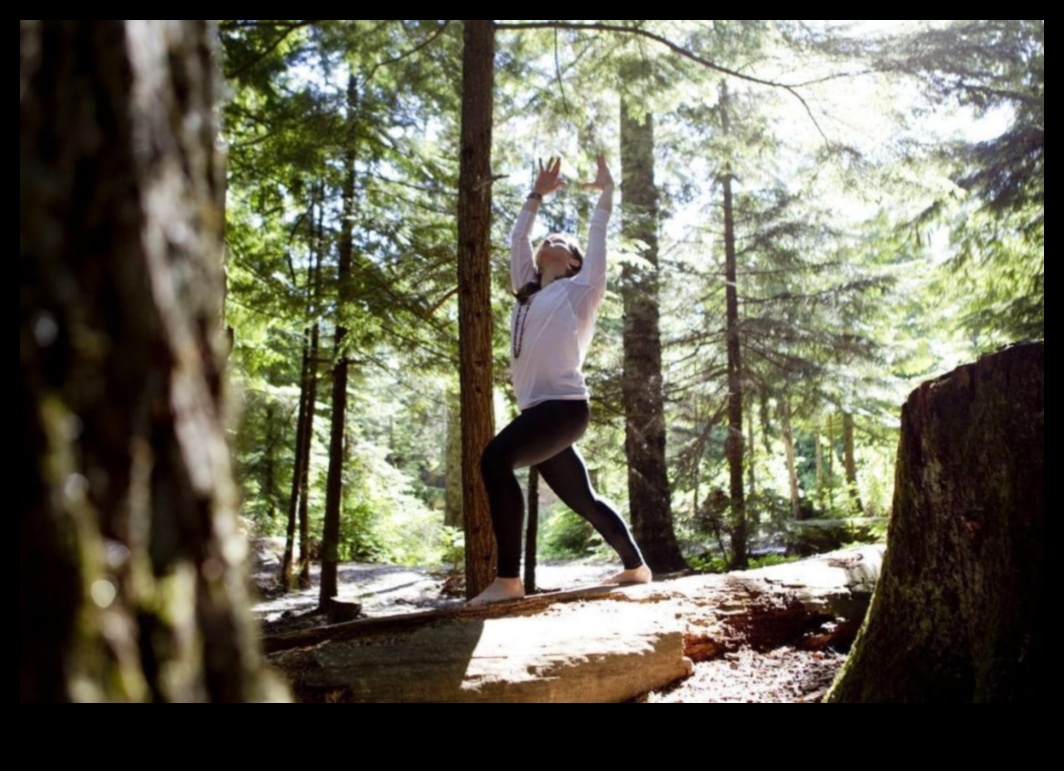 Woodland Workouts: Outdoor Exercises in Peaceful Forests