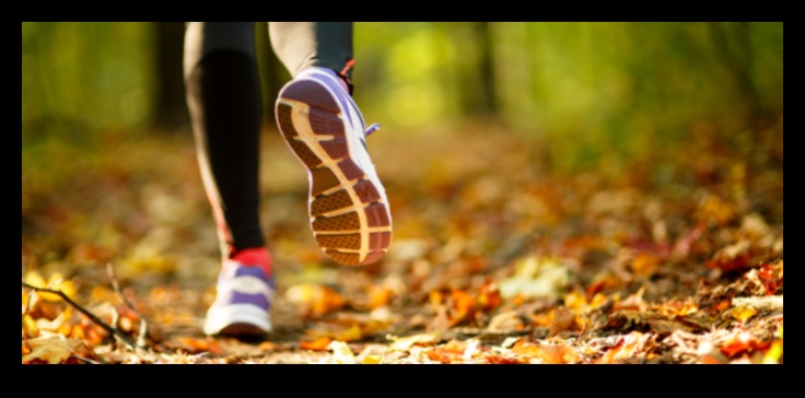 Hit the Trails for a Workout with a View 1