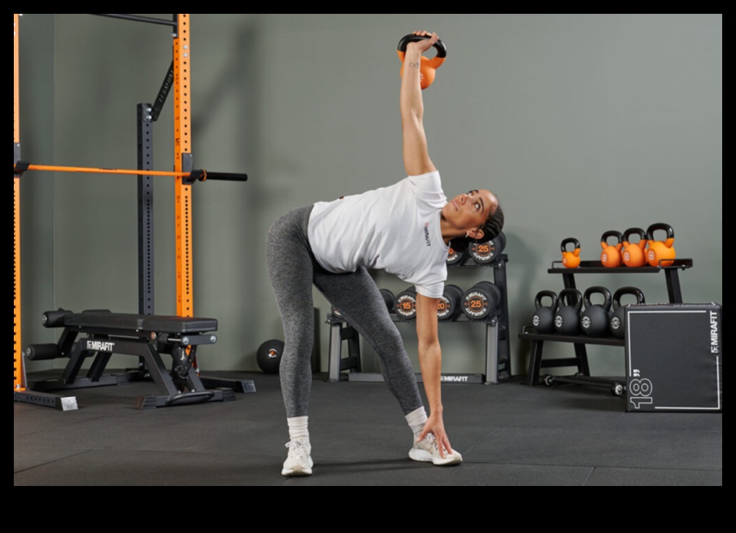 Home Gym Mastery: Curating the Perfect Collection of Exercise Equipment