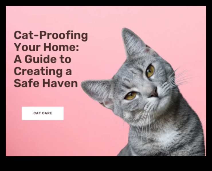 Home Sweet Home Creating a Safe Haven for Your Cat 1