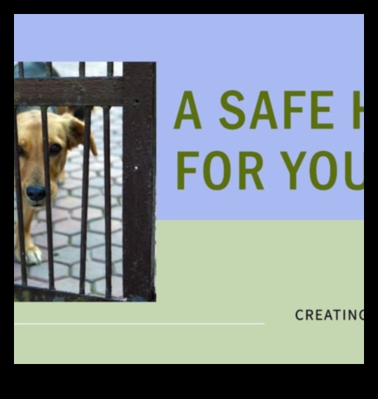 Home Sweet Home Creating a Safe Haven for Your Dog 1