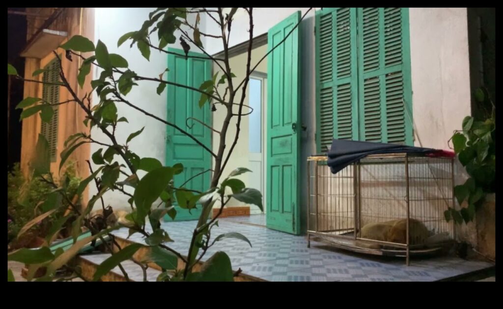 Homefront Hues Bring the Beauty of Your Community Inside 1