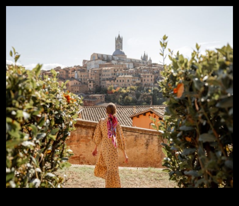 Homegrown Highlights: Your Insider's Guide to Local Attractions