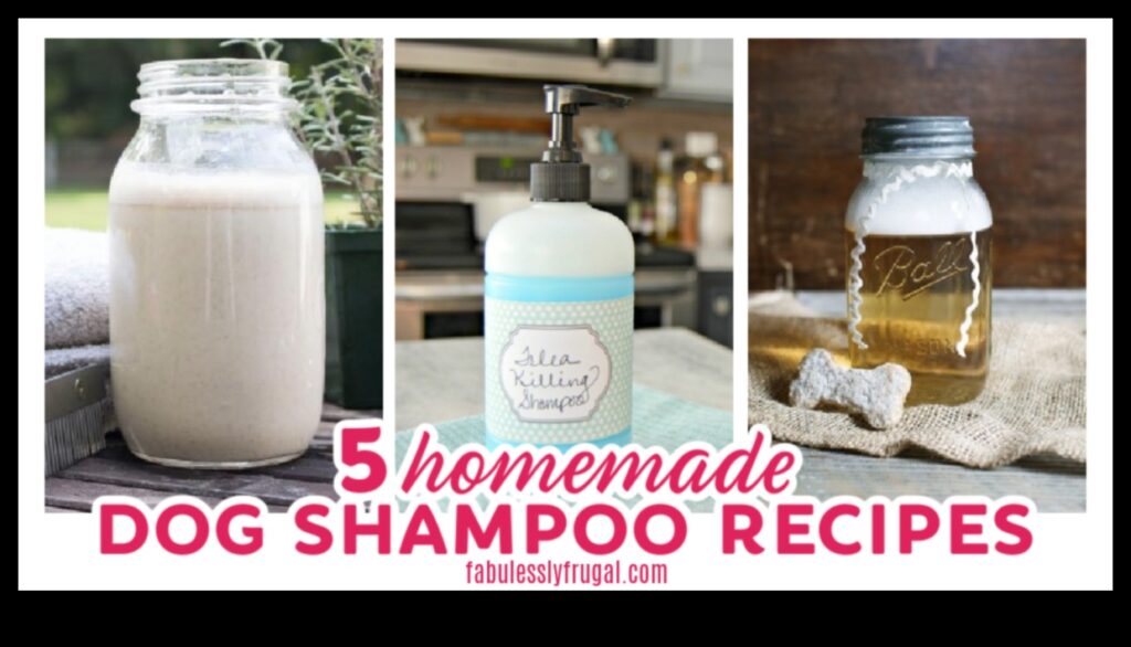 Homemade Dog Shampoo Recipes DIY Solutions for a Clean Pup 1