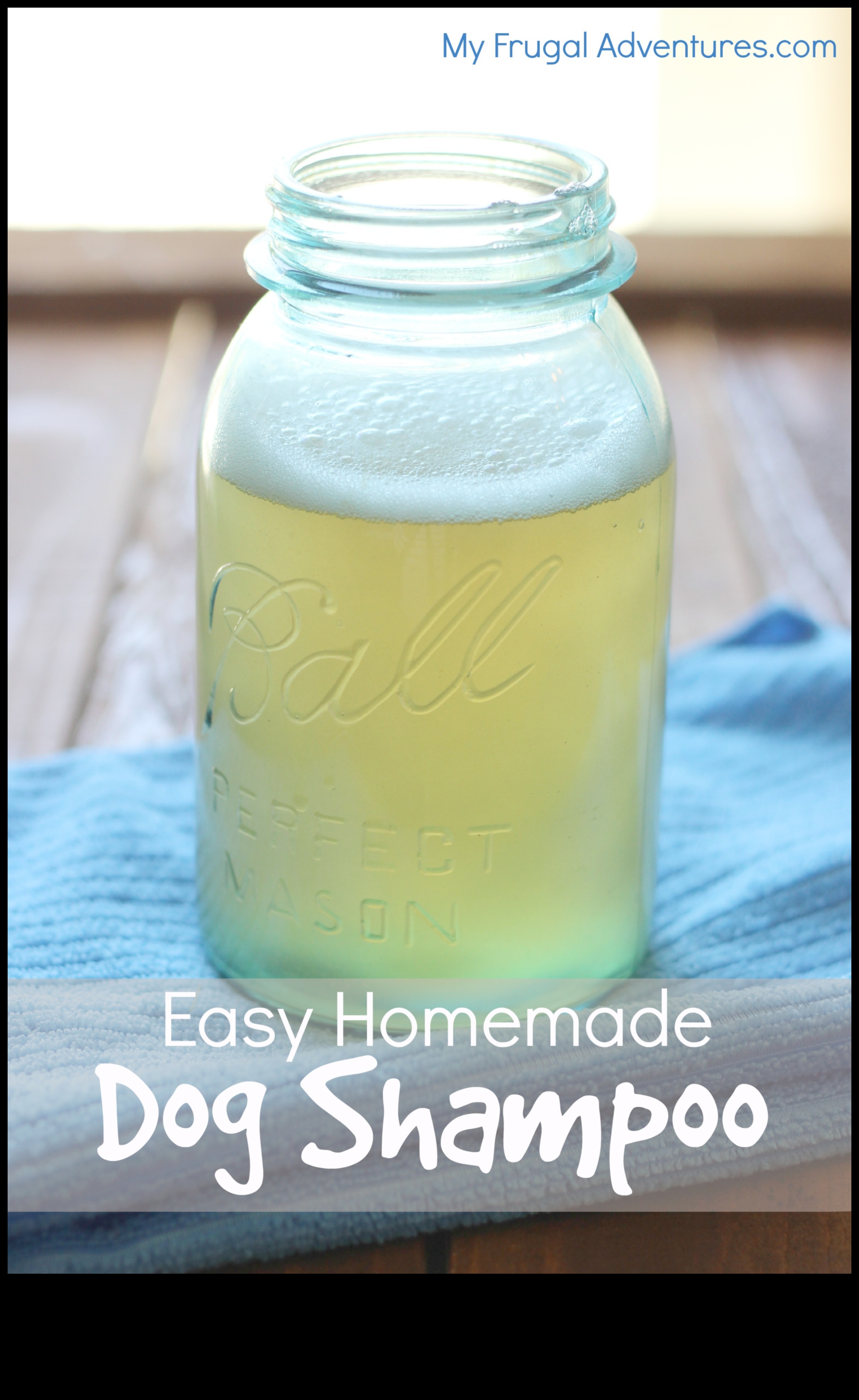 Homemade Dog Shampoo Recipes: DIY Solutions for a Clean Pup