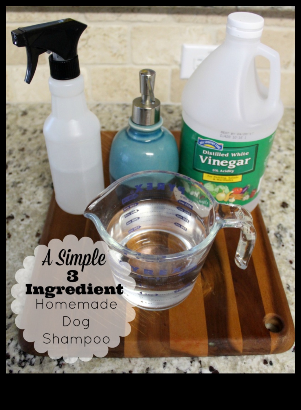 Homemade Dog Shampoo Recipes: DIY Solutions for a Clean Pup
