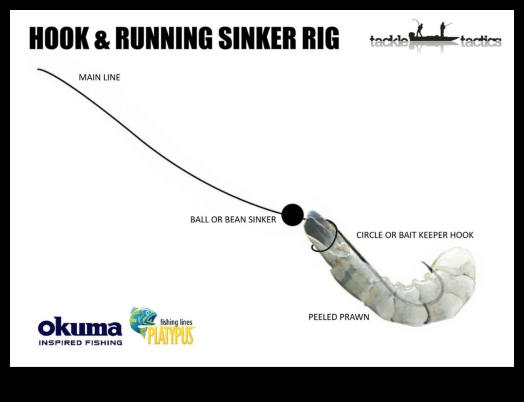 Hook, Line, and Sinker Essential Fishing Gear Guide 3 Hook, Line, and Sinker: Essential Fishing Gear Guide
