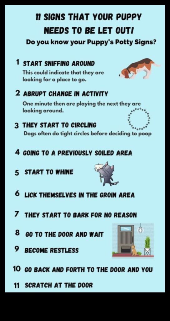 Housebreaking Hints Tips for Potty Training Your Puppy 1