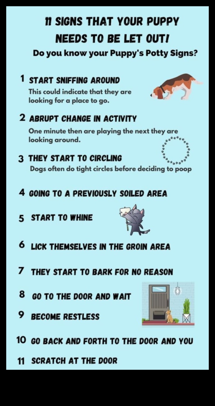 Housebreaking Hints Tips for Potty Training Your Puppy 1 Housebreaking Hints: Tips for Potty Training Your Puppy