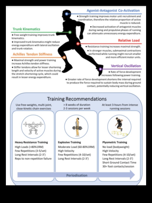 How Exercise Elevates Endurance A Guide to Boosting Stamina and Performance 1