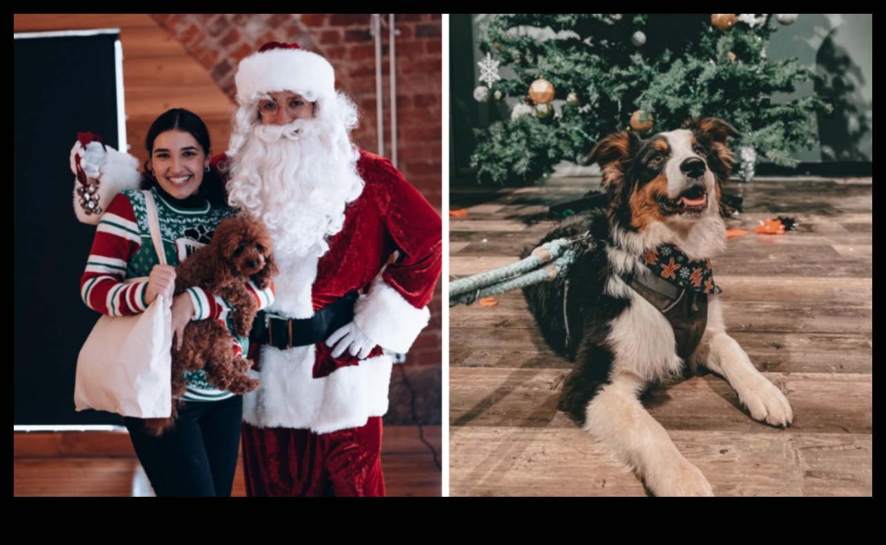 Howl-iday Celebrations: Festive Ideas for Dogs and Their Families