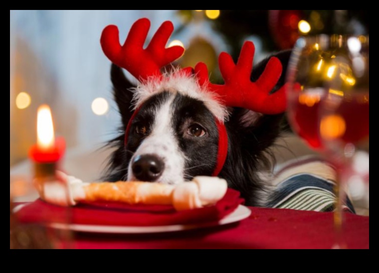 Howl-iday Celebrations: Festive Ideas for Dogs and Their Families