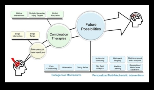 Injury to Insight A Precision-Based Approach to Rehabilitation 1