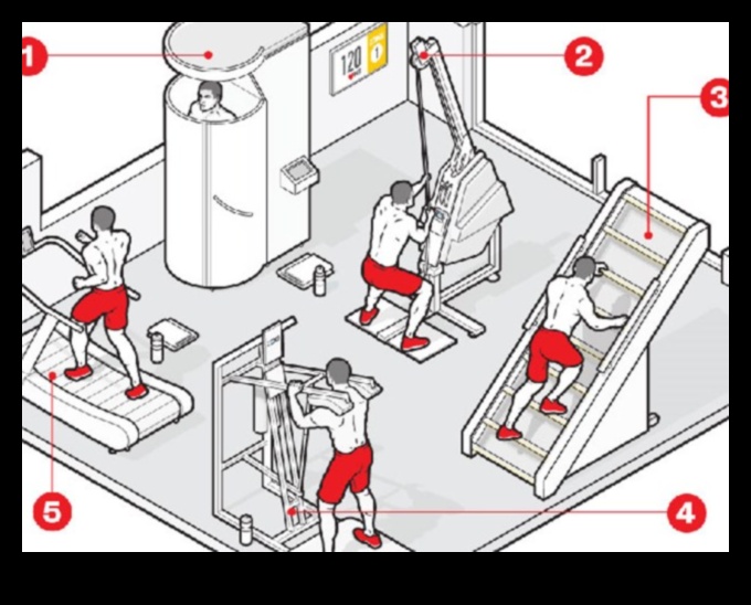 Innovative Impact: Cutting-Edge Exercise Equipment for Total Body Fitness