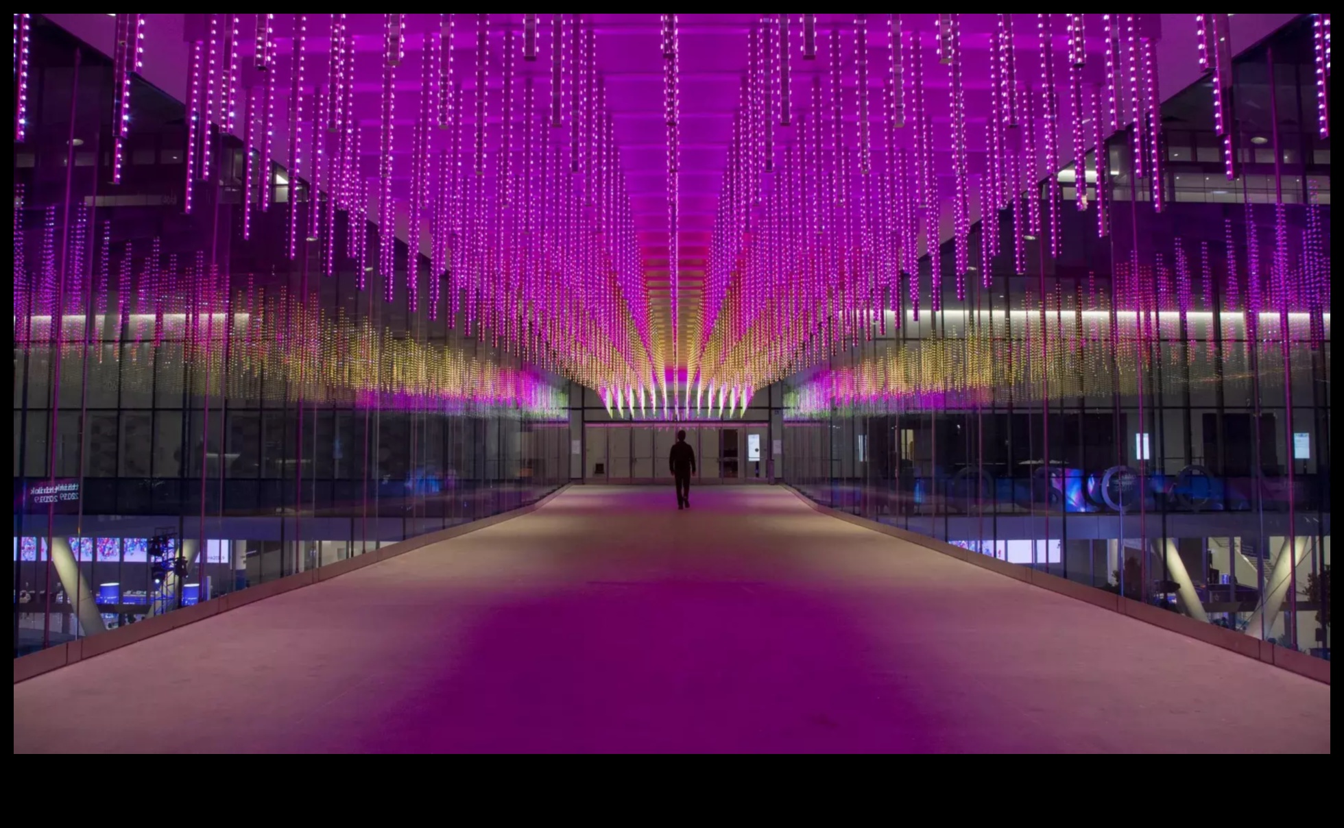 Insider Illumination: Shining a Light on Travel Wisdom