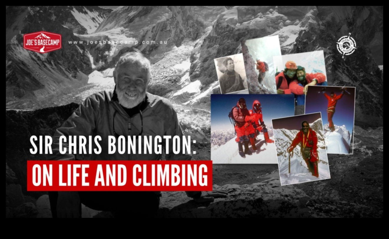 Insight Incline: Climbing the Peaks of Travel Wisdom