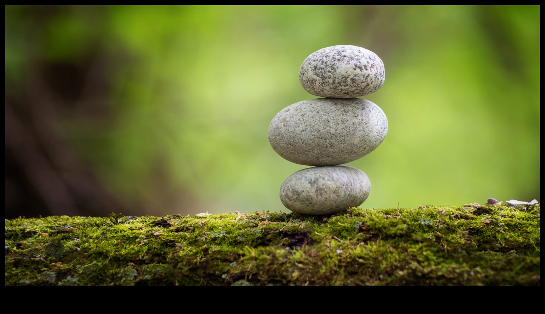 Insight Infusion: A Dose of Travel Wisdom