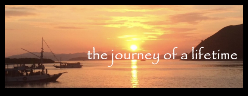 Journey Jolt A Traveler's Guide to Thrilling Destinations 1