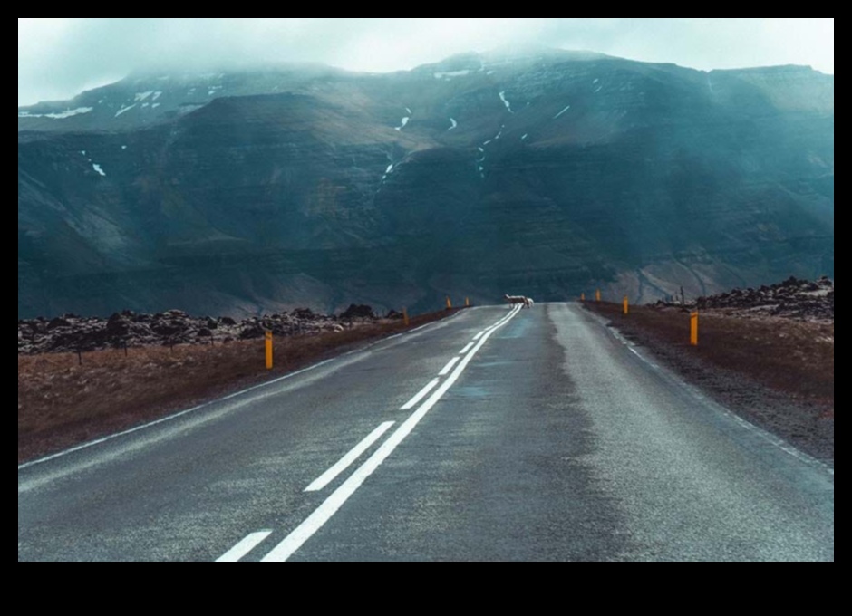 Journey Juxtapose: A Traveler's Contrasting Adventures