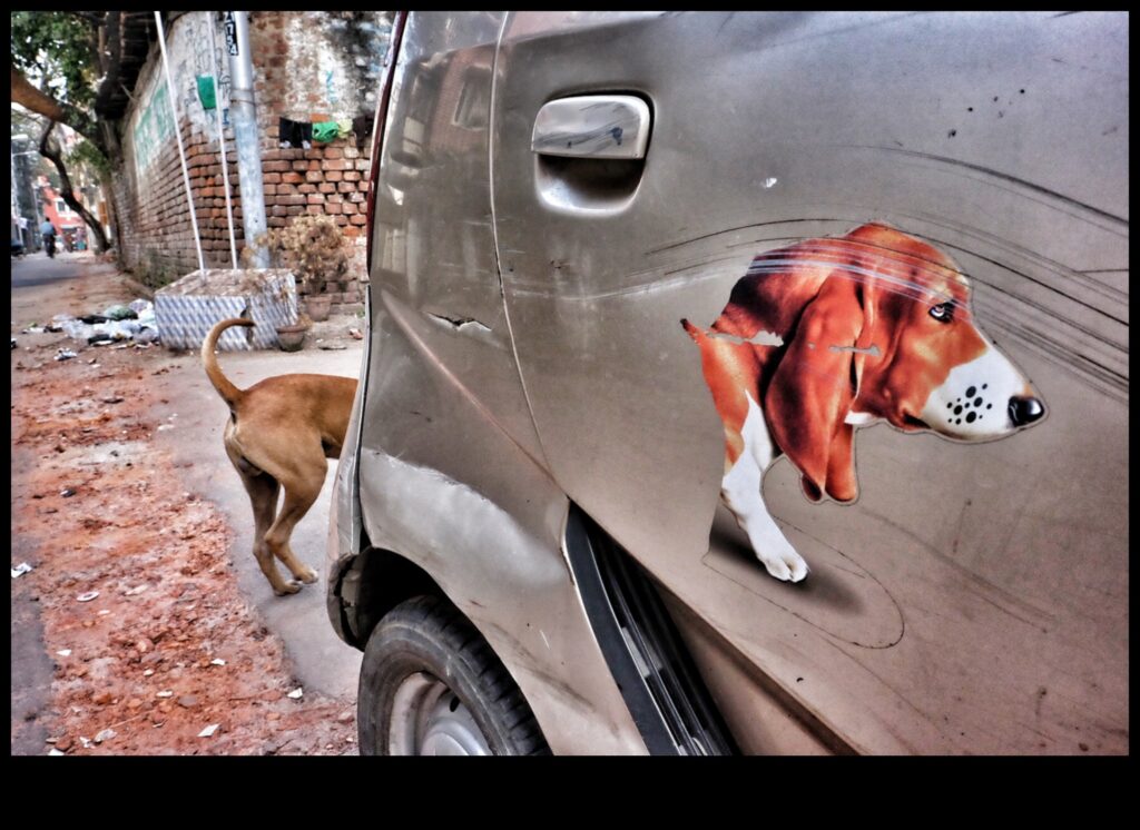 Journey Juxtapose Contrasting Styles for a Unique Travel Experience 1