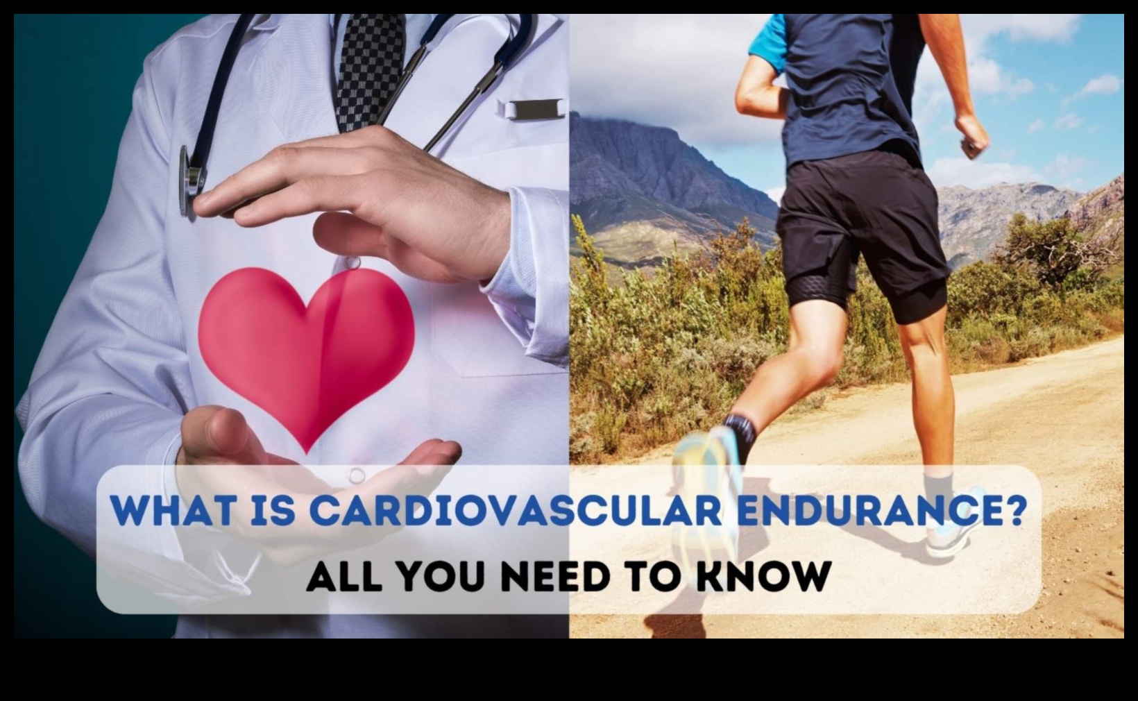 Journey to a Stronger Heart: Cardiovascular Wonders Unveiled