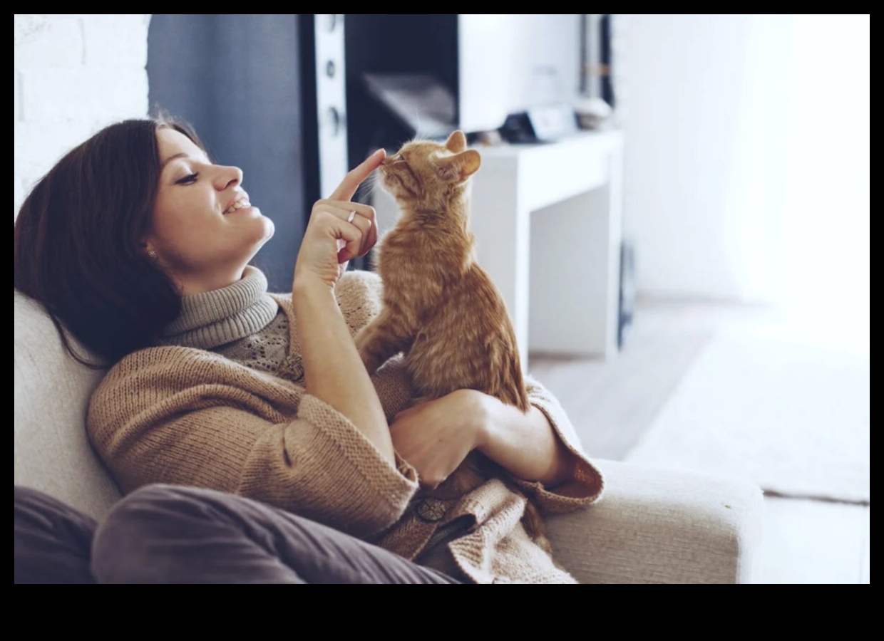 Kitty Comfort: Creating a Calm Environment for Your Cat