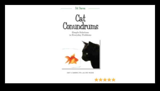 Kitty Conundrums: Problem-Solving for Common Cat Issues