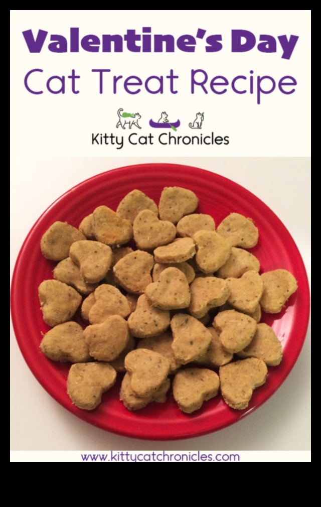 Kitty Cuisine: Homemade Cat Treat Recipes