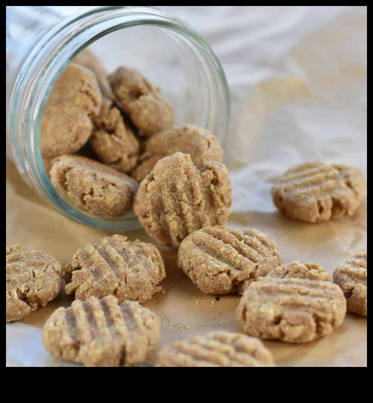 Kitty Cuisine: Homemade Cat Treat Recipes