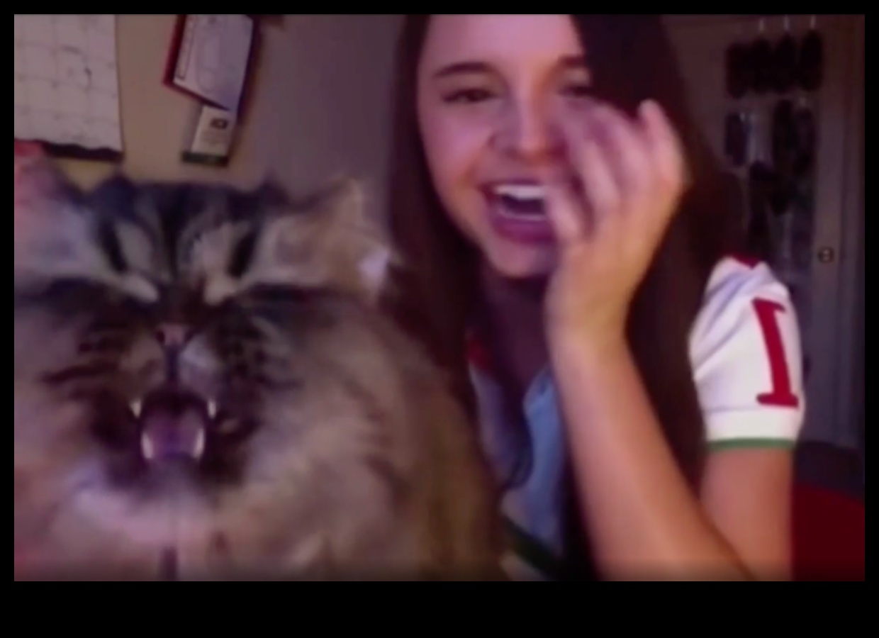 Kitty Karaoke Continued: More Fun with Your Cat's Vocalizations