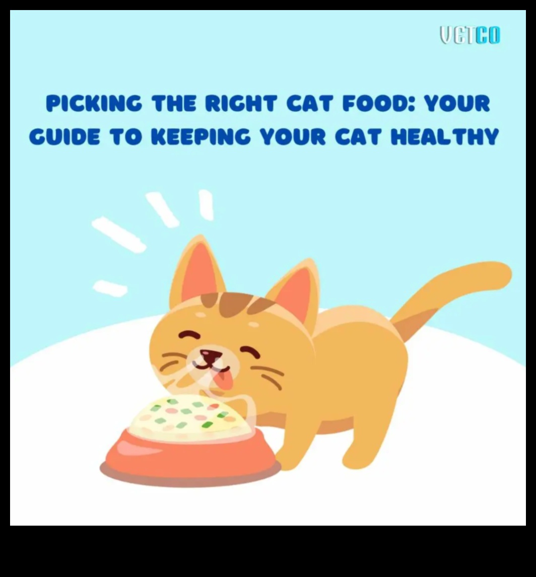 Kitty Kibbles: A Guide to Choosing the Right Cat Food