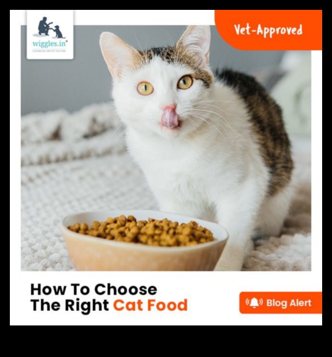 Kitty Kibbles: A Guide to Choosing the Right Cat Food