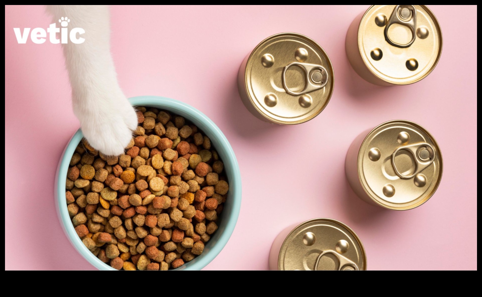 Kitty Kibbles: A Guide to Choosing the Right Cat Food