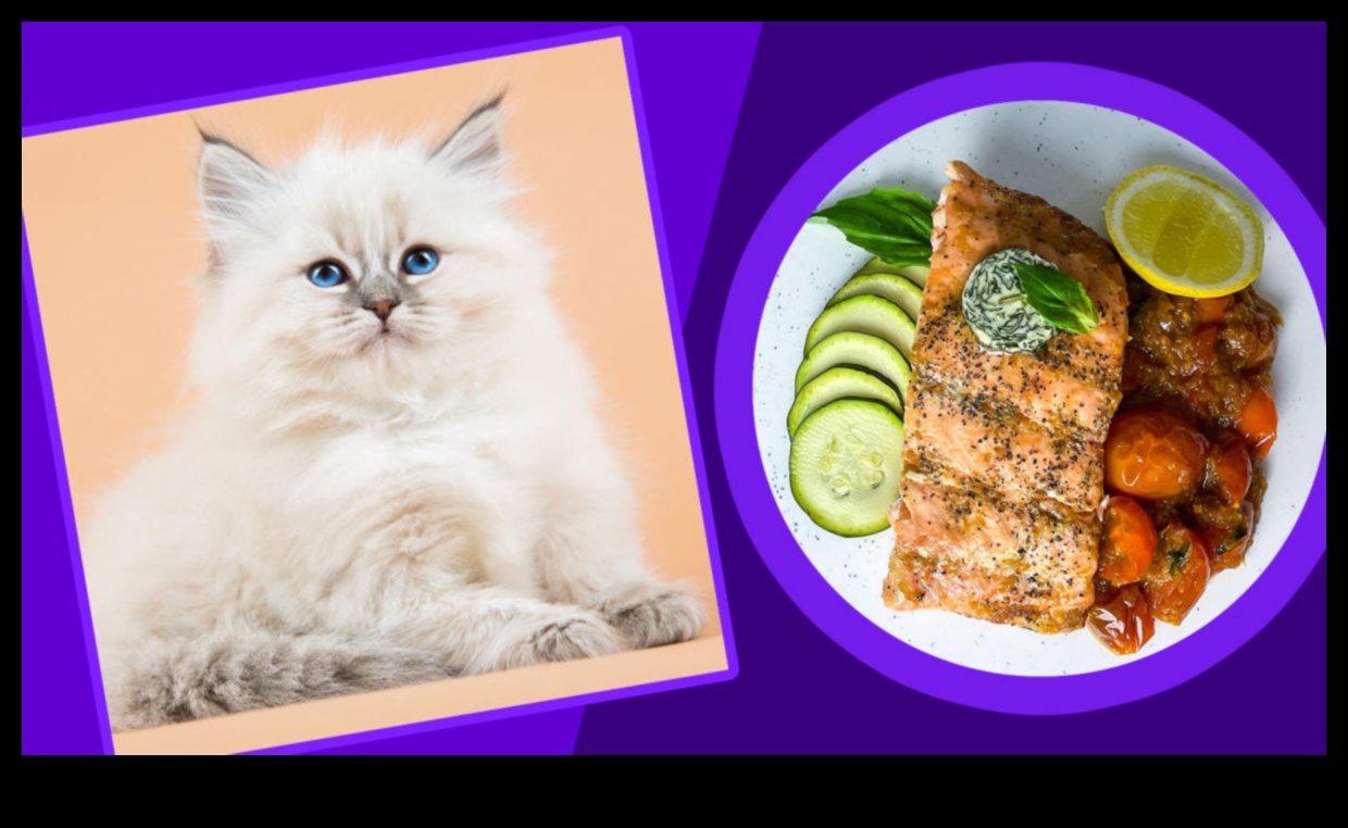 Kitty Kitchens: Whipping Up Nutritious and Delicious Cat Meals