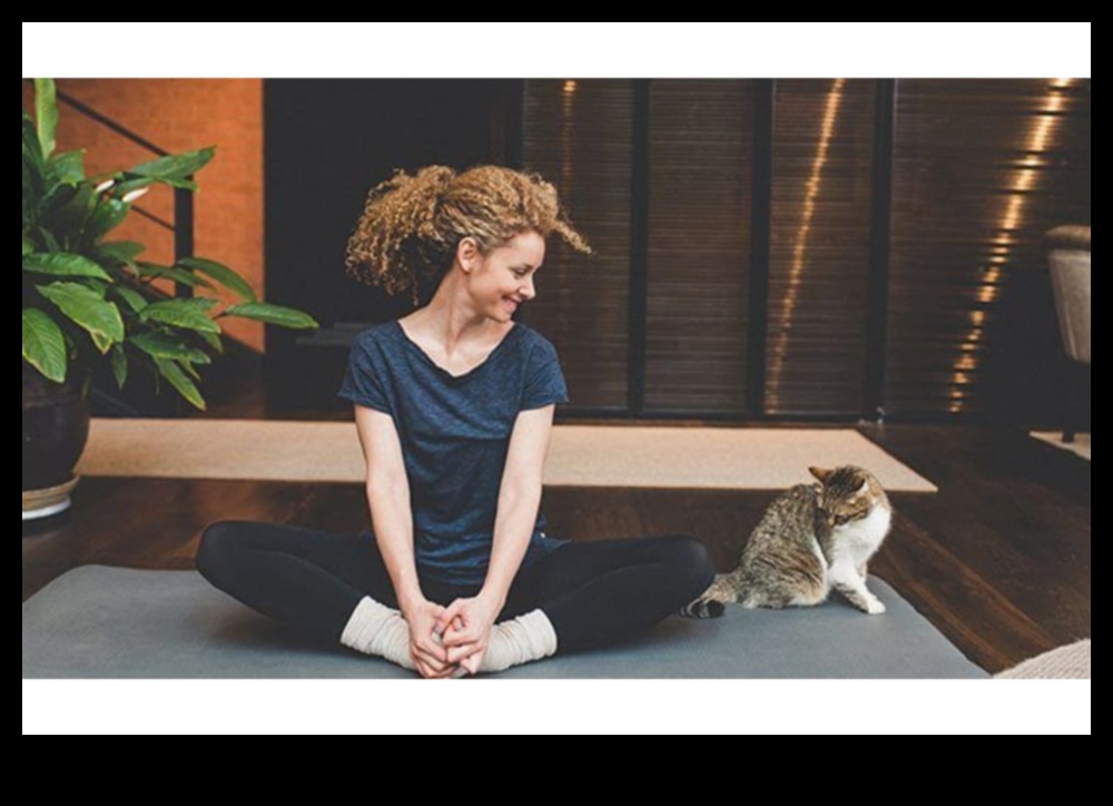 Kitty Yoga: Incorporating Stretching and Exercise into Your Cat's Routine