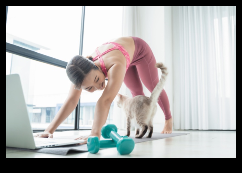 Kitty Yoga: Incorporating Stretching and Exercise into Your Cat's Routine