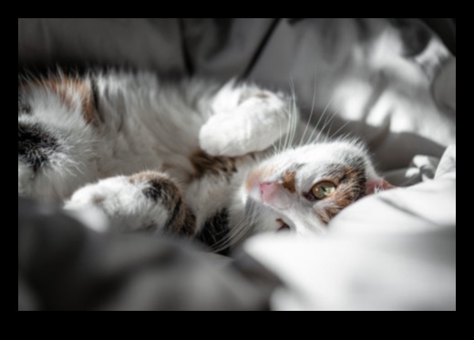 Kneadful Moments: Understanding the Quirky Behavior of Cat Kneading