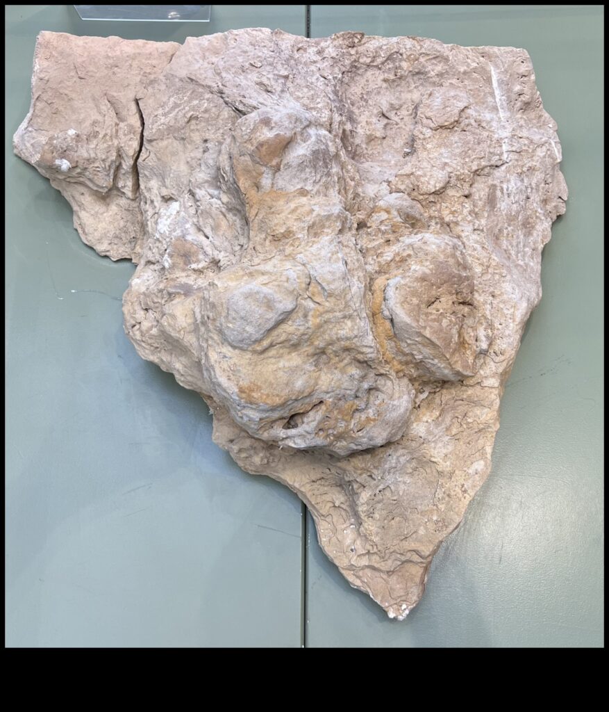 Landmark Legacy Tracing the Footprints of History from Ancient Times to the Present 1