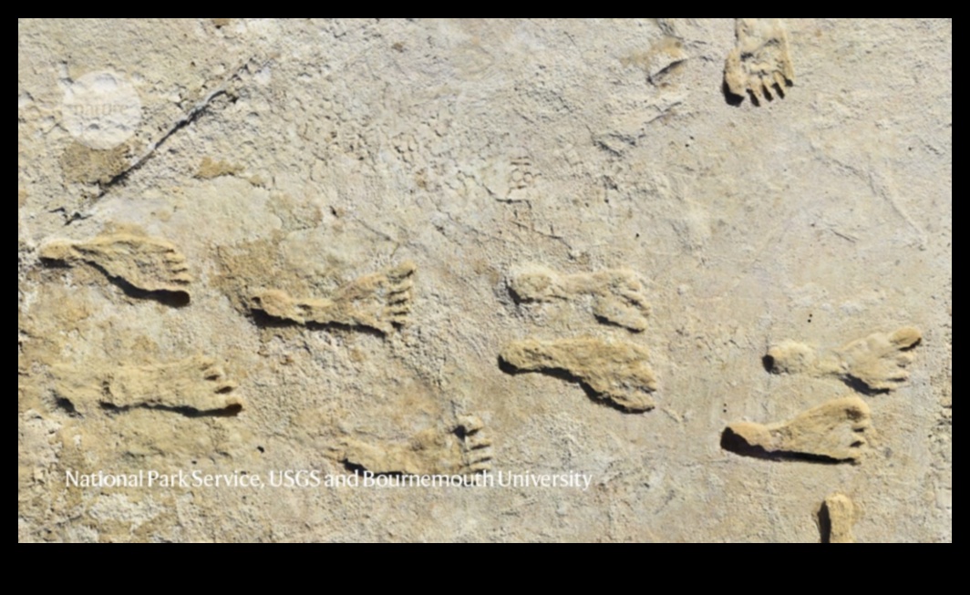 Landmark Legacy: Tracing the Footprints of History