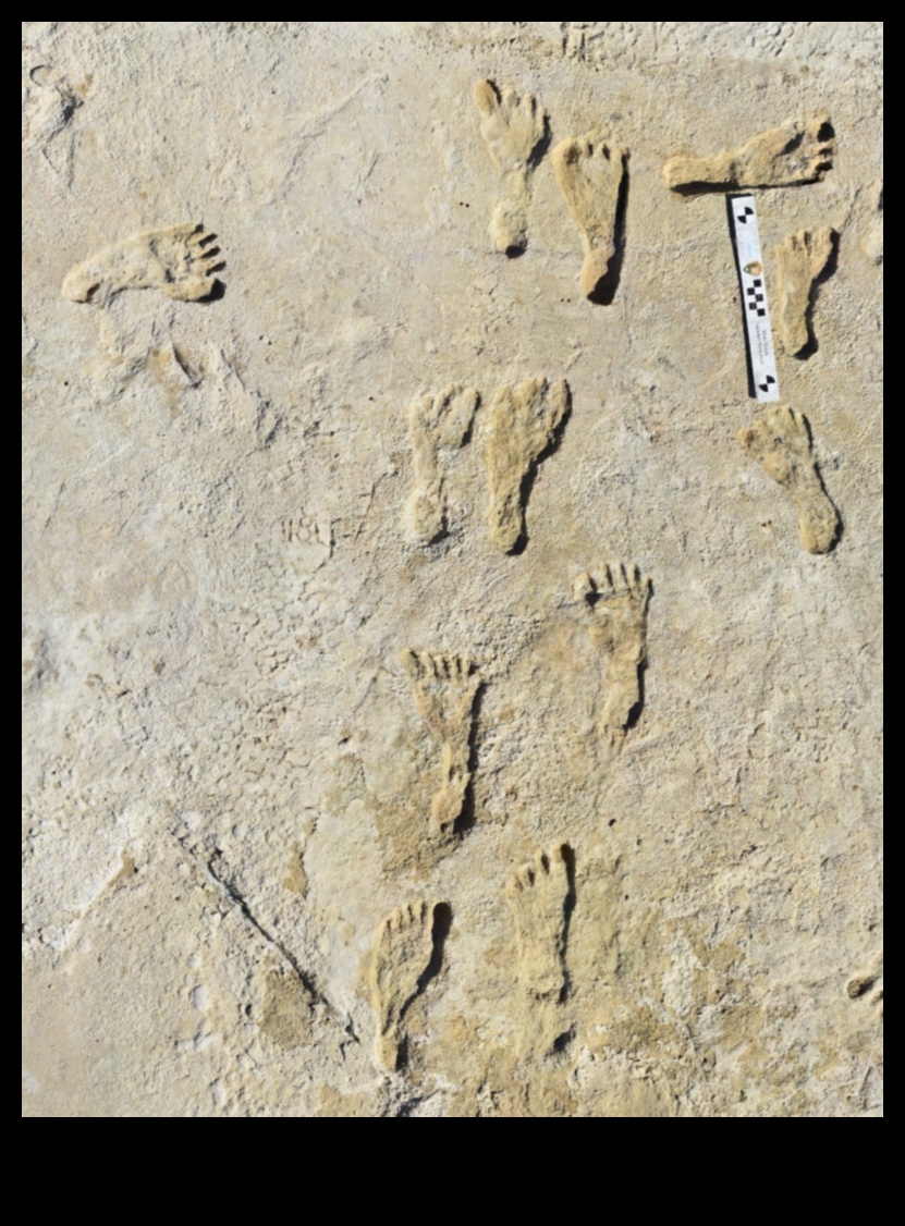 Landmark Legacy: Tracing the Footprints of History