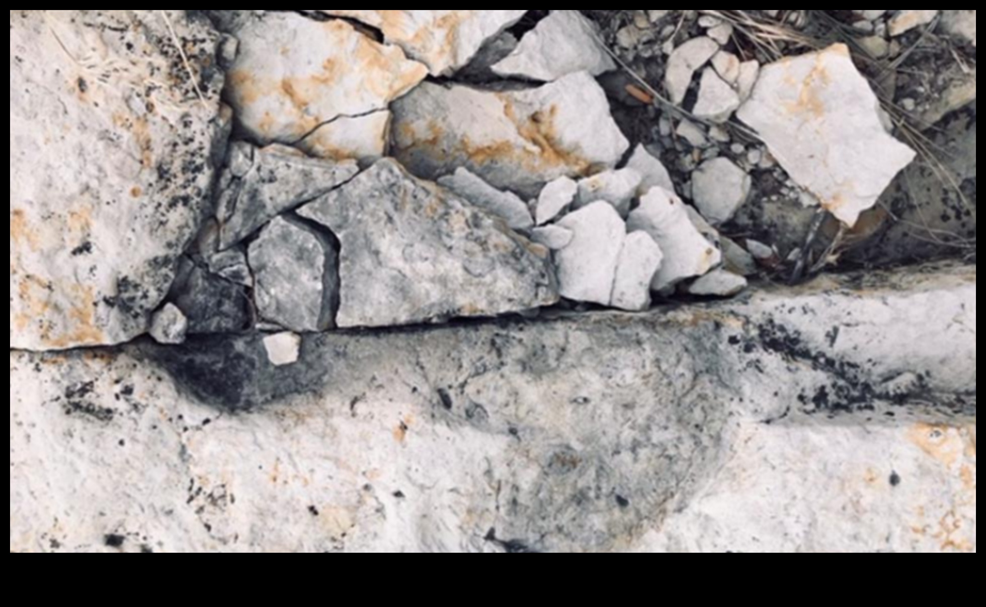 Landmark Legacy: Tracing the Footprints of History