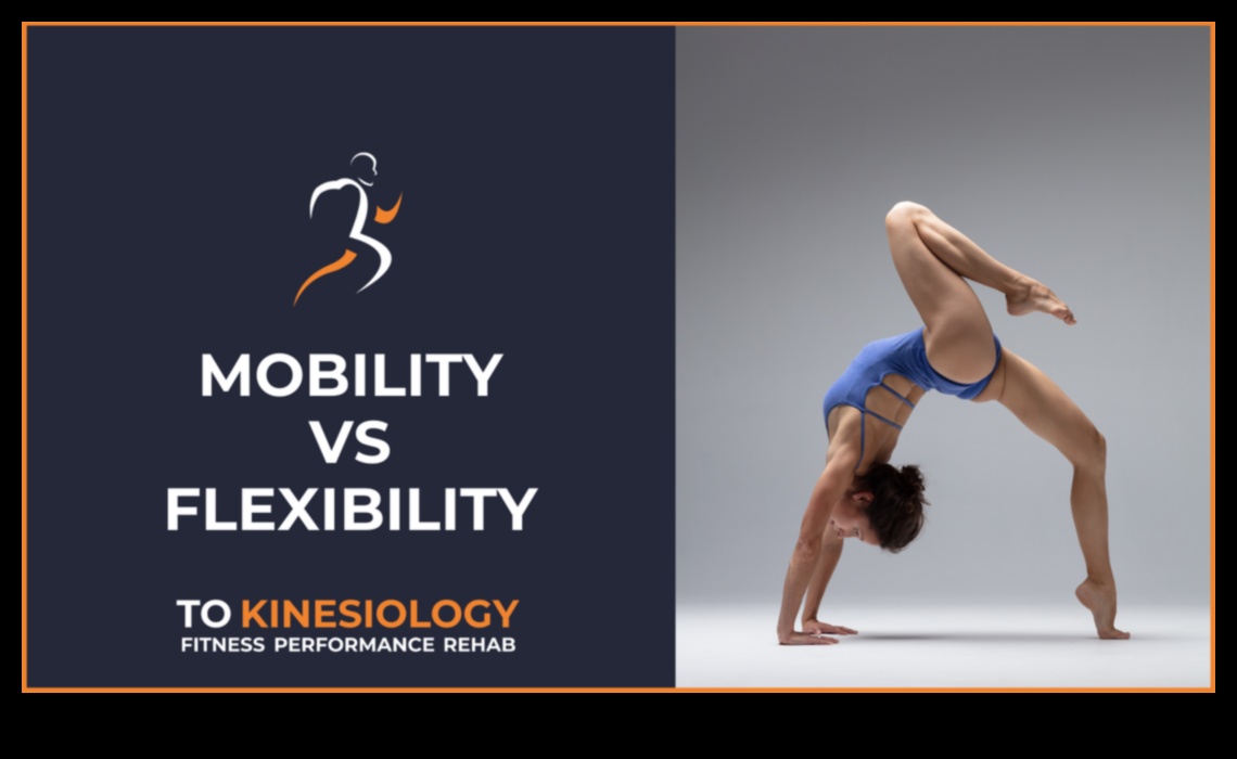 Legends of Flexibility: Enhancing Your Range of Motion