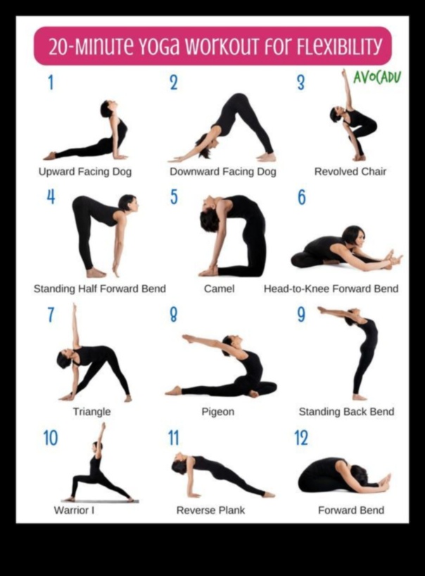 Limber Life Blueprint: Designing Your Stretching Routine