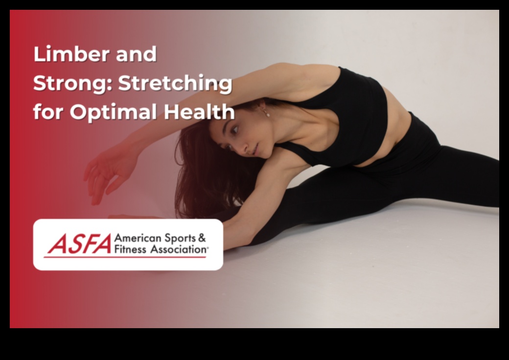 Limber Lifestyle Guide: Transformative Stretching for Total Wellness