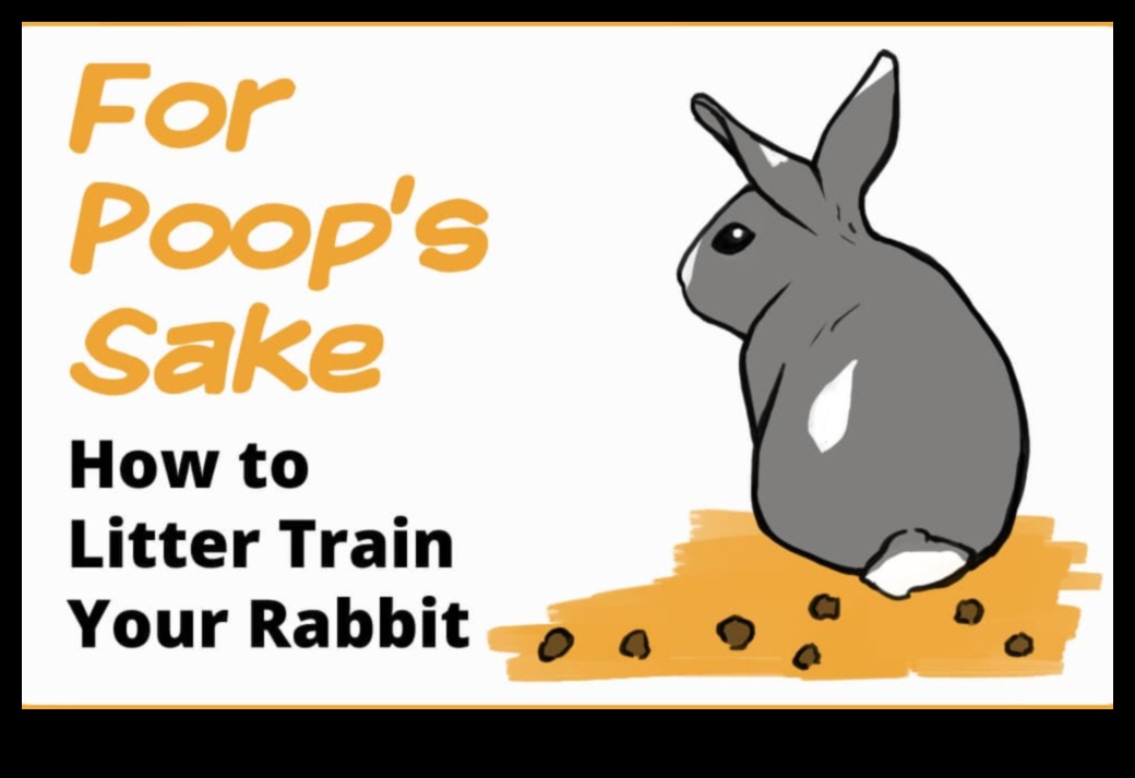 Litter Training Lessons: Teaching Your Rabbit Proper Habits