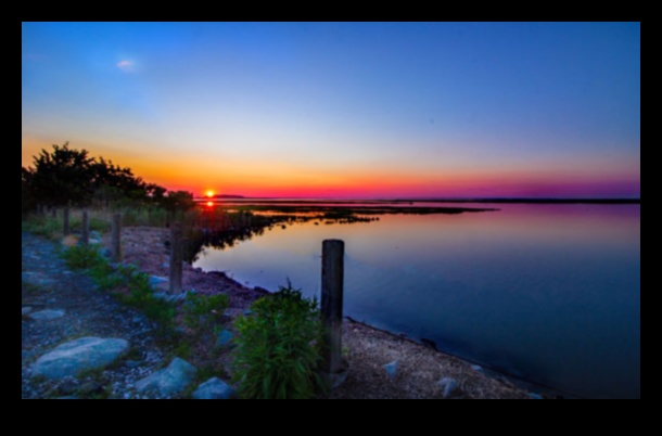 Local Lens Discover the Wonders in Your Own Backyard 1